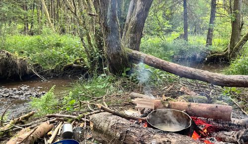 Bushcraft  Avenature