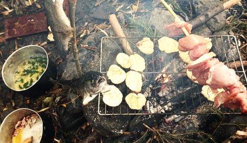Bush Craft Avenature Back to Nature