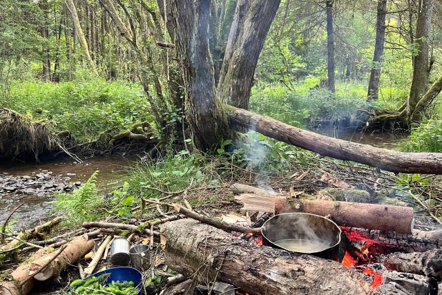 Bushcraft  Avenature