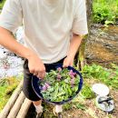 Bushcraft  Avenature