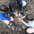 Bush Craft Back to Nature en Avenature